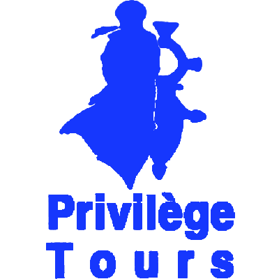 Privileges Tour logo